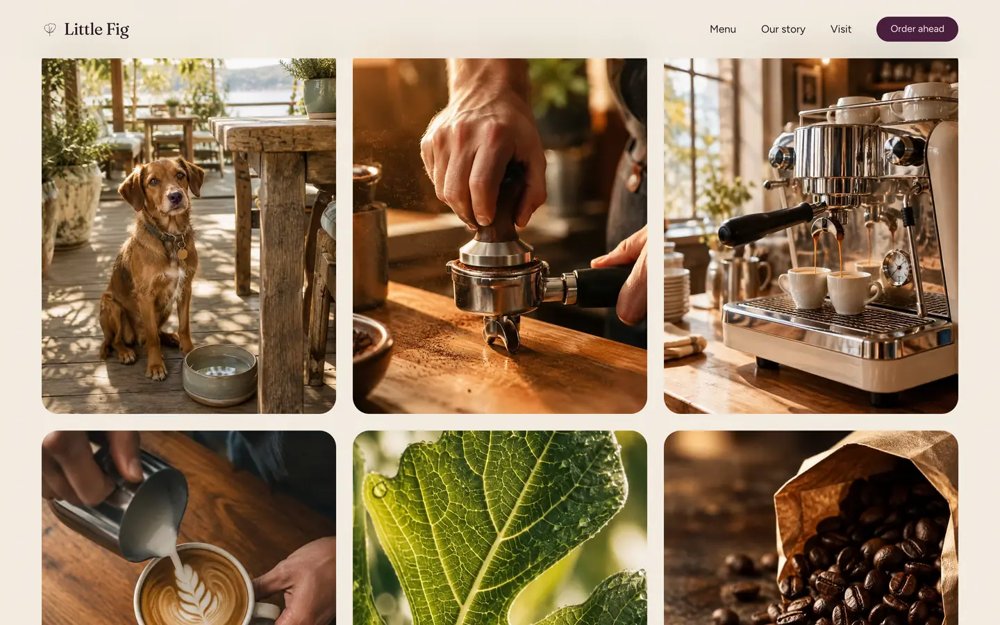 Concept design for Little Fig Café, a sample café website by LaunchTrybe: photo gallery of the café, coffee and food